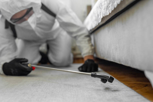 Professional Mosquito Control technician working in Stepney, CT