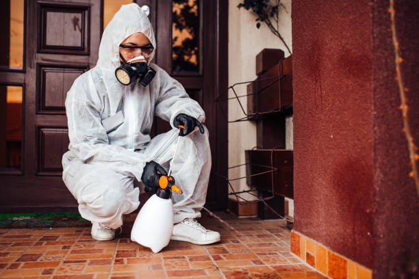 Reliable Mosquito Control contractor in Stepney, CT by Nex Pest Control