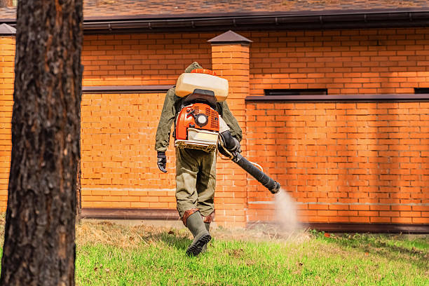 Top rated local Mosquito Control specialists in Stepney, CT